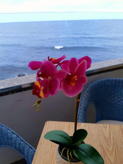 Ocean Orchidea Apartment ปูแอร์โตเดลาครูซ ภายนอก รูปภาพ
